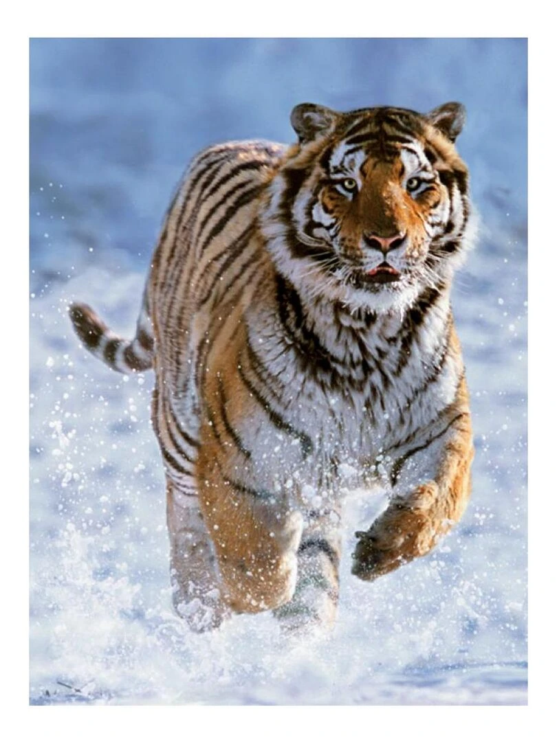Puzzle 500 p tigre dans la neige N/A