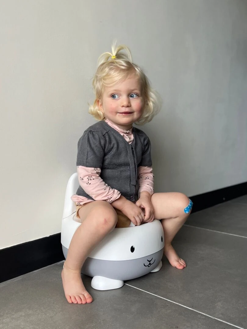 Pot Lapin gris   Gris