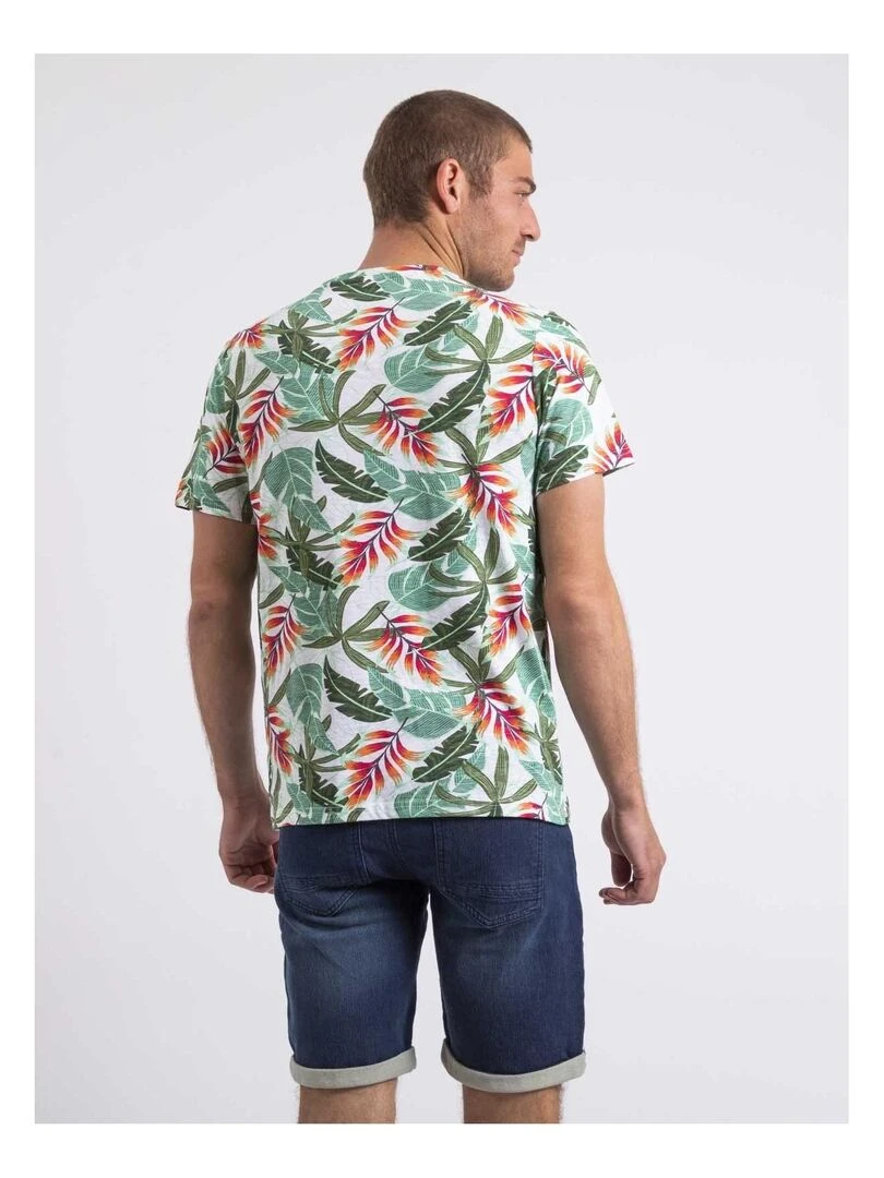 T shirt col rond NIRINDO   Vert