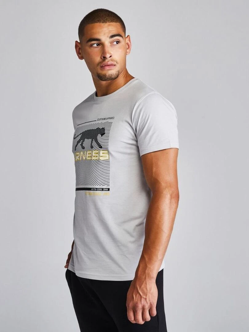 TEE SHIRT EMPREINTE Airness Gris