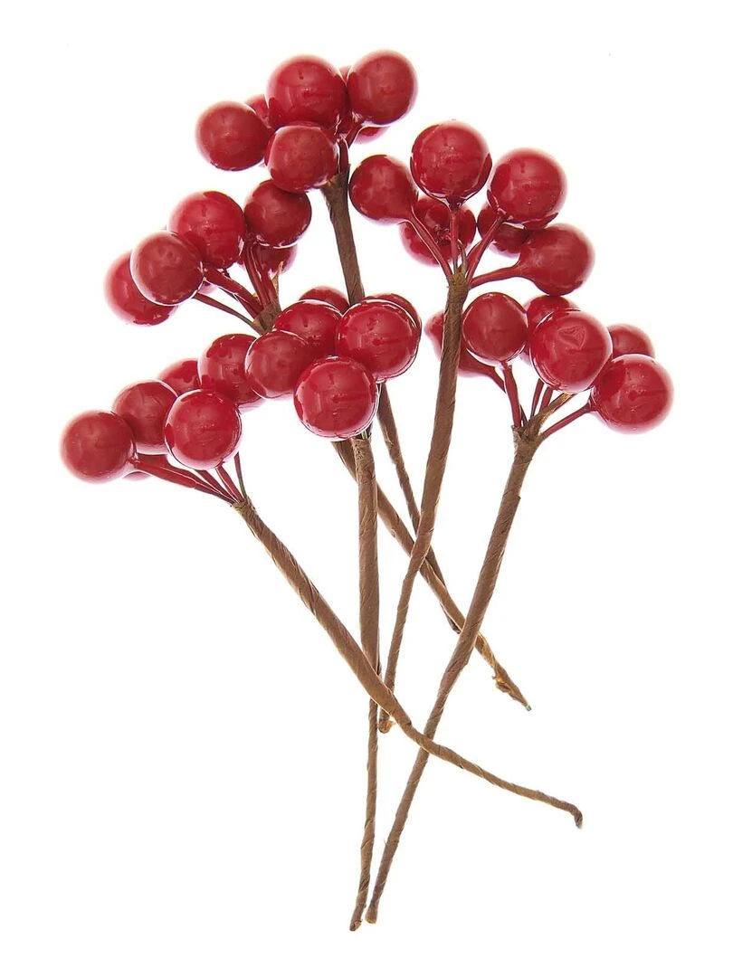 6 Baies rouges décoratives 9 cm Rouge