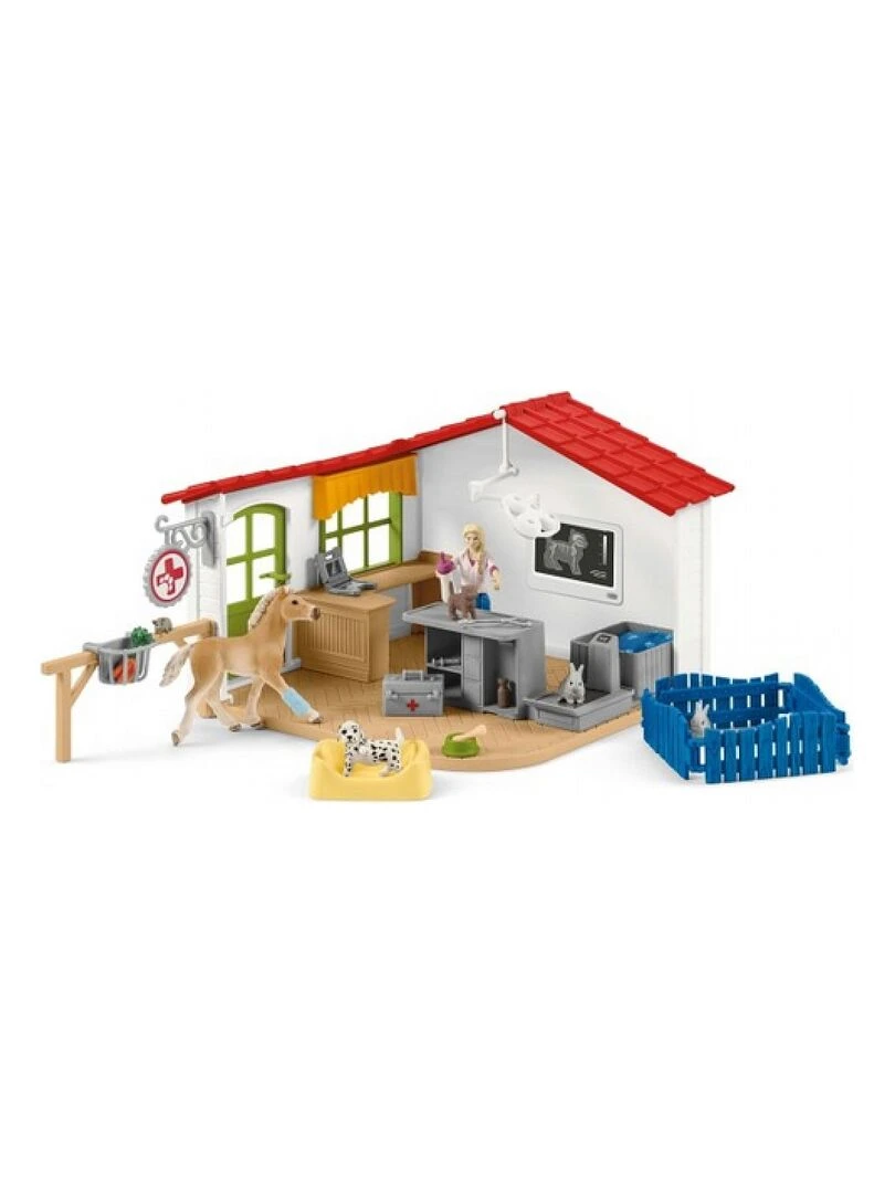 42502 Cabinet Veterinaire Avec Animaux De Compagnies   N/A