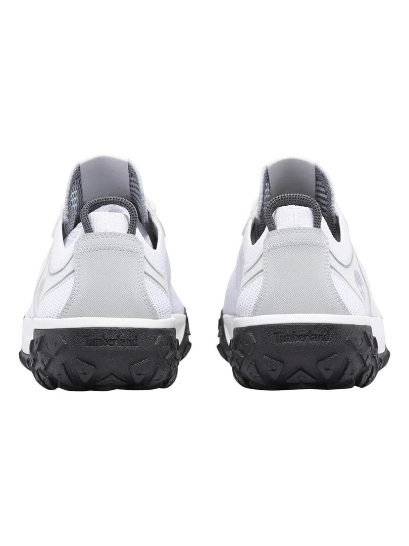 Basket à Lacets Timberland Field Trekker   Blanc