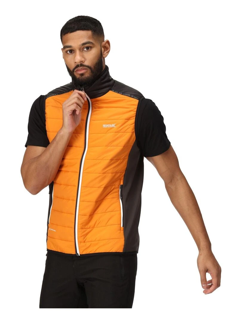 Regatta   Veste sans manches HALTON   Orange