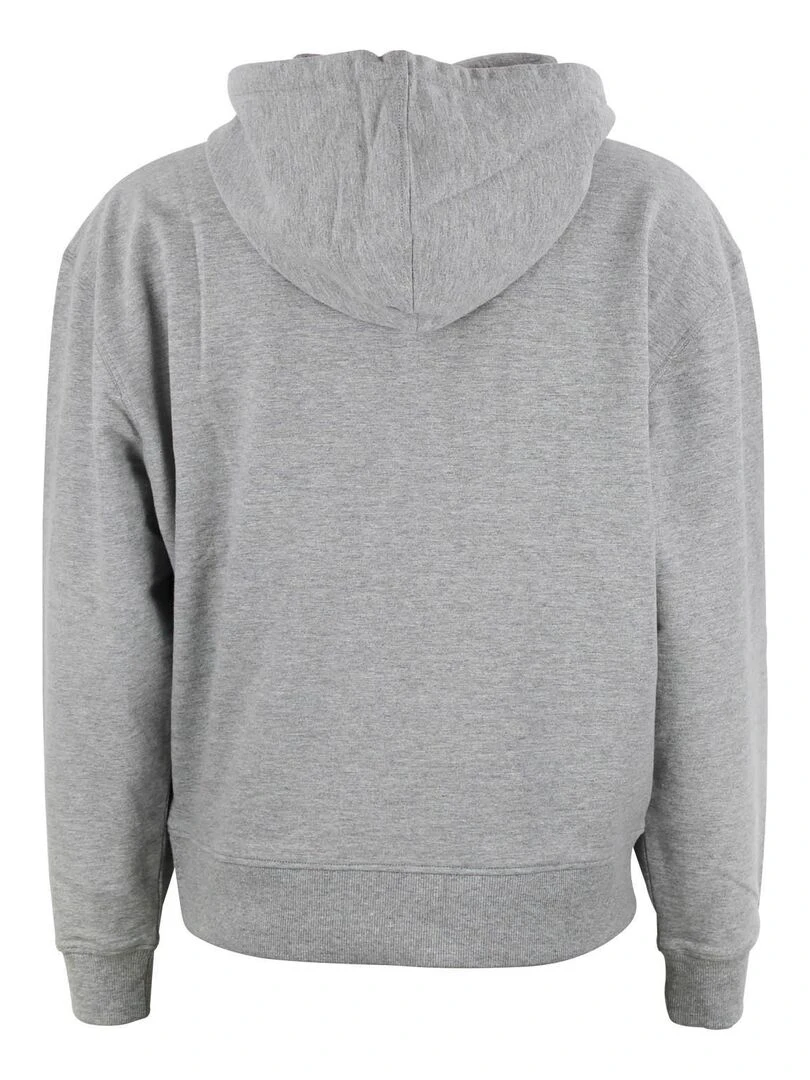 Sweat à capuche femme ALAUREN Gris