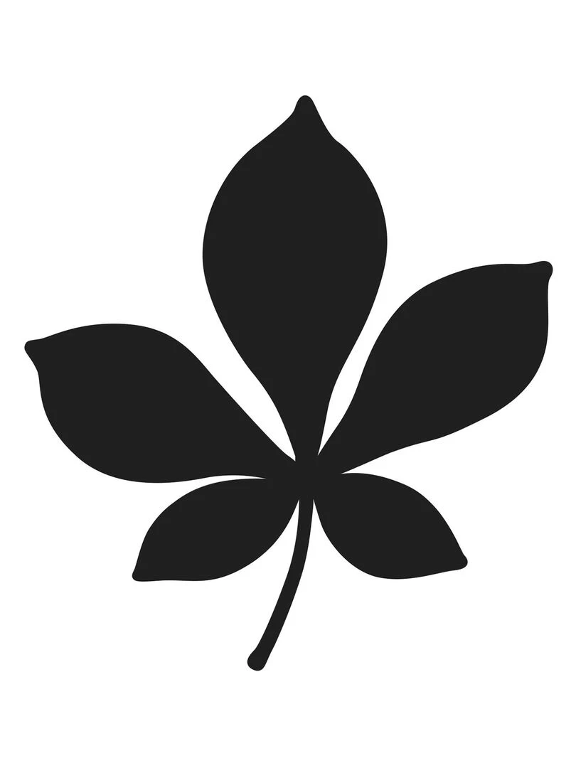 Matrices de découpe Feuille de marronnier N/A