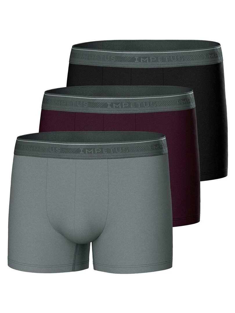 Pack de 3 boxers en coton bio Gris