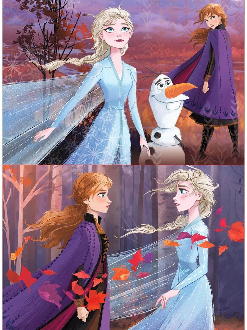 Puzzle en bois 2 x 25 pièces : La Reine des Neiges 2 (Frozen 2) N/A