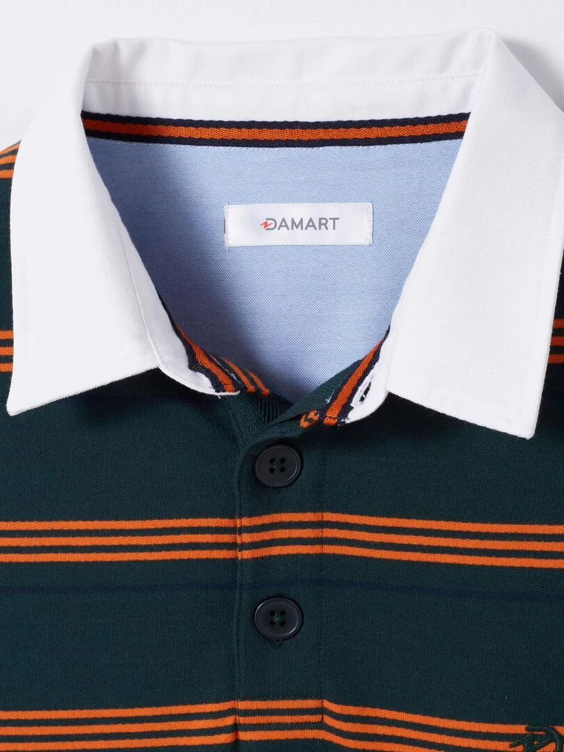 Polo rayures manches longues pur coton   Damart   Vert