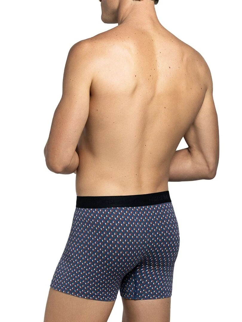 Boxer Wagons imprimé tendance   Bleu