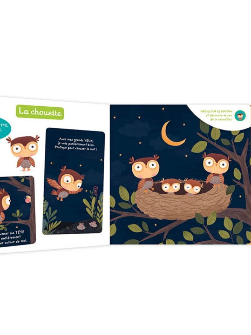Livre sonore Je découvre les animaux de la nuit N/A