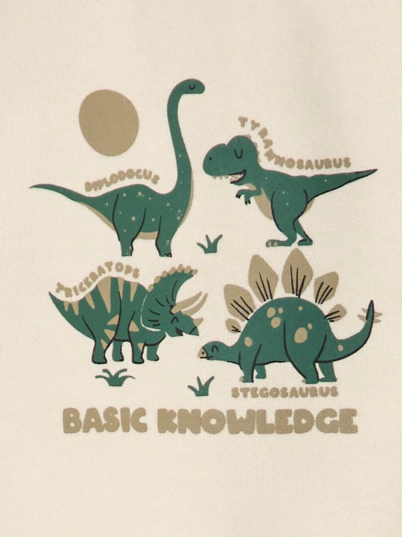 Sweat coloré en coton   Beige