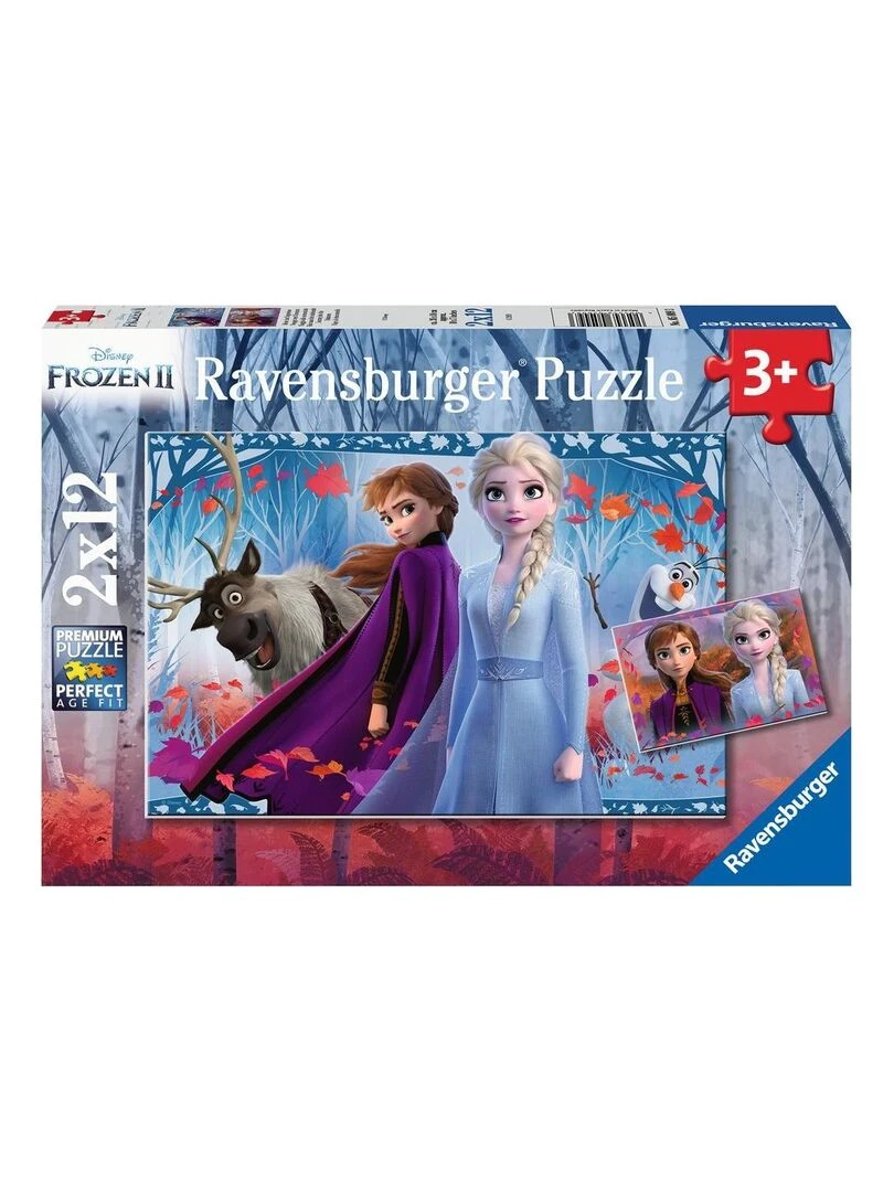 Puzzles 2x12 p Voyage vers l'inconnu / Disney La Reine des Neiges 2 N/A