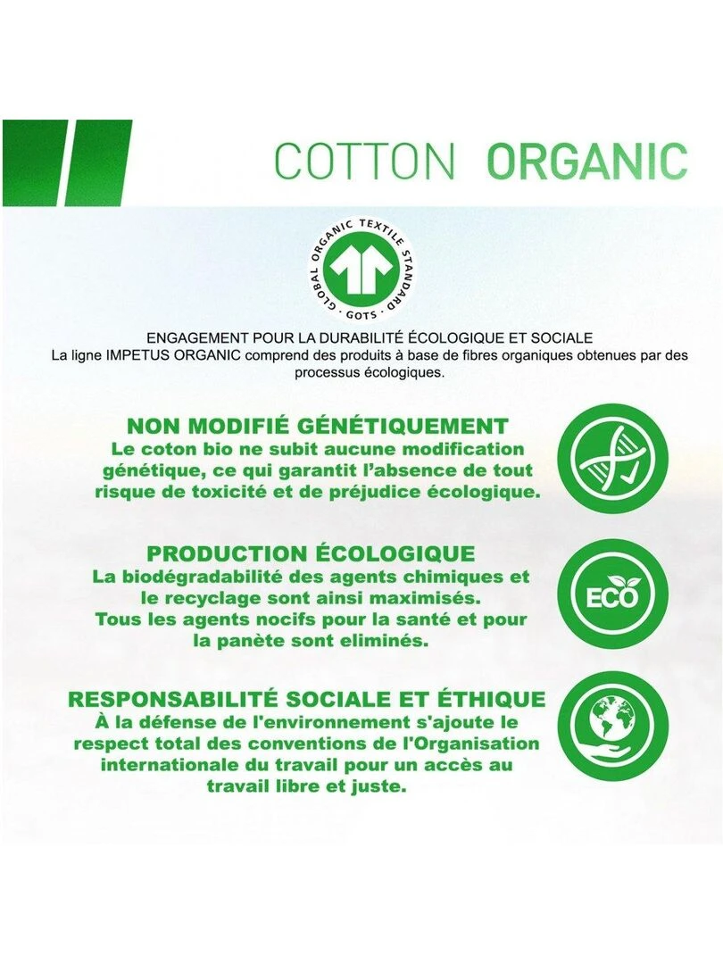 Slip rayé en coton bio Cotton Organic   Bleu