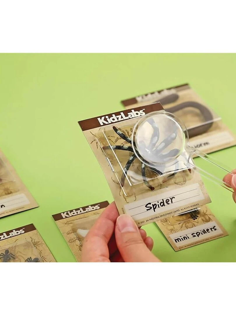 Kit Découverte de la Science   Déterre Les Insectes   N/A