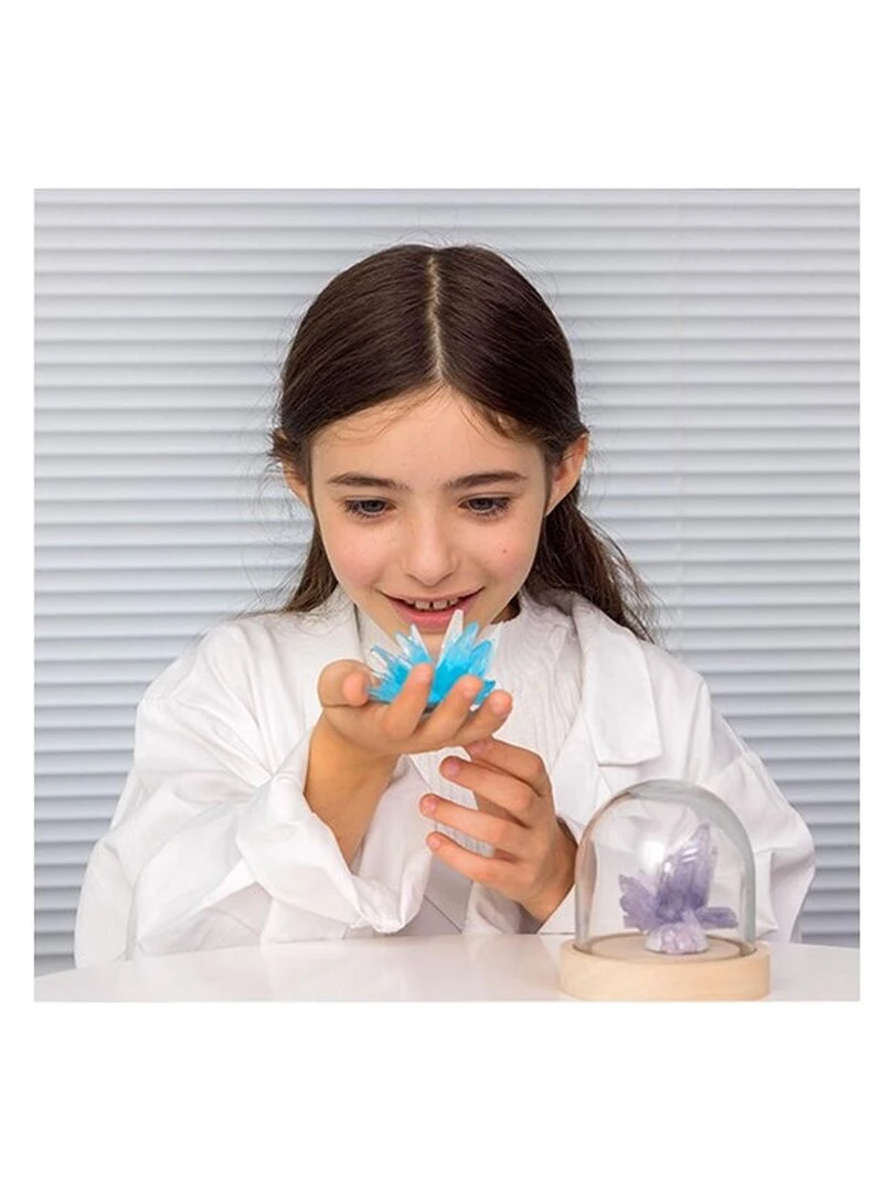 Cristal Violet Individuel La Chimie Des Cristaux   N/A