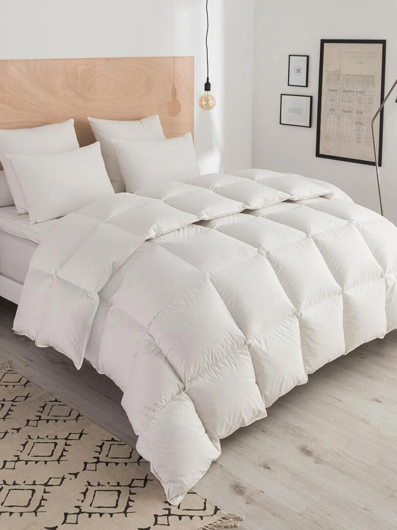 DODO Couette Thermoduv CHAUDE 90% Duvet d'Oie Blanc