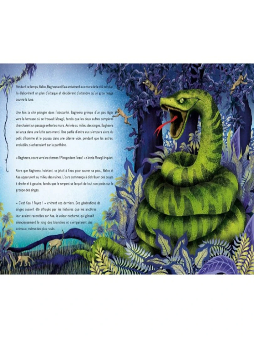 Le Livre De La Jungle N/A