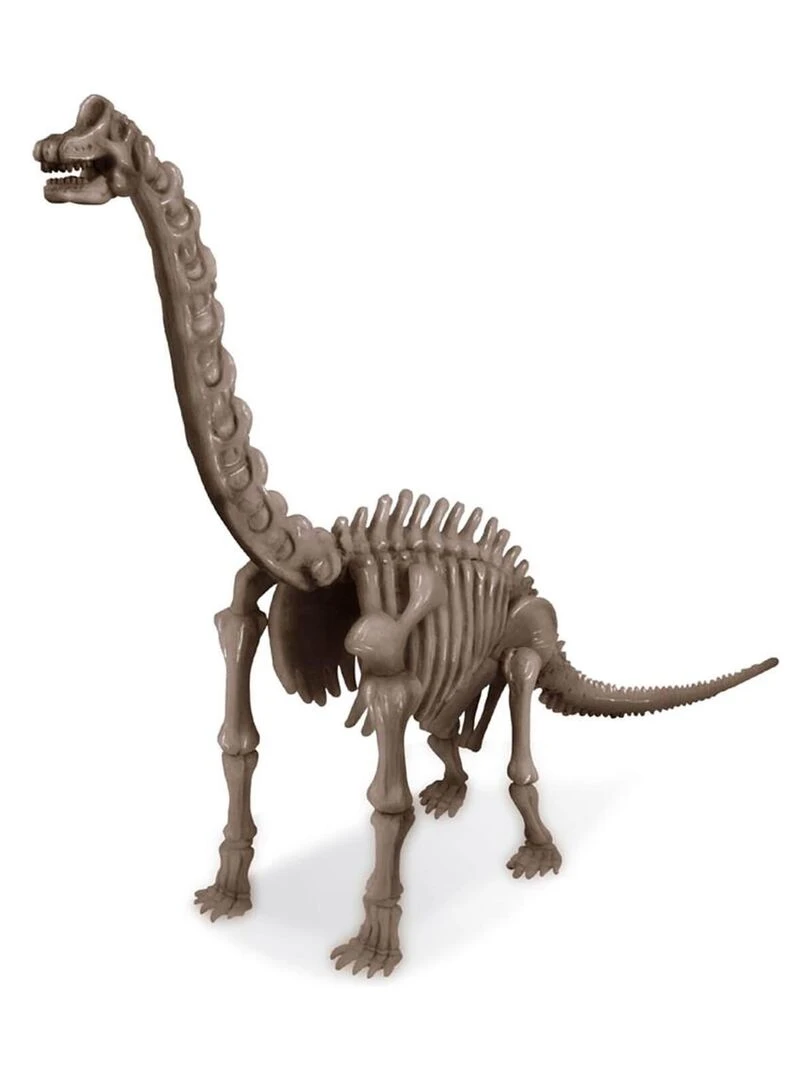 Deterre Ton Dinosaure Brachiosaure N/A