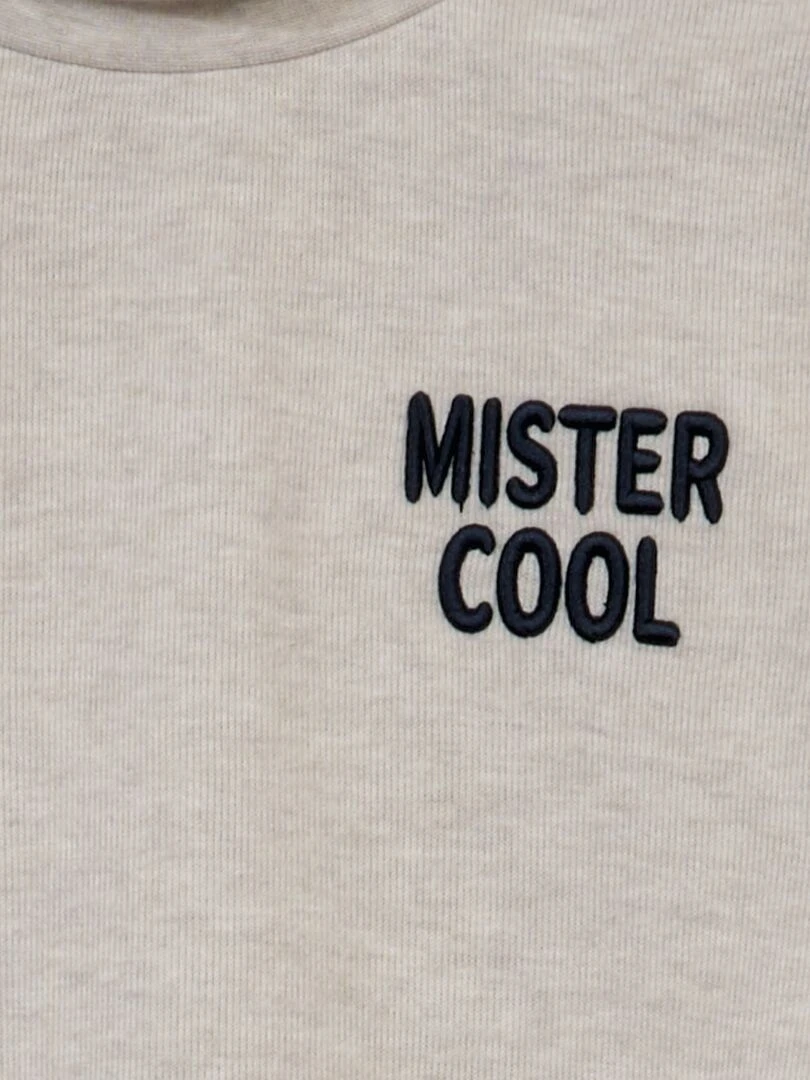 T shirt en jersey lourd Gris