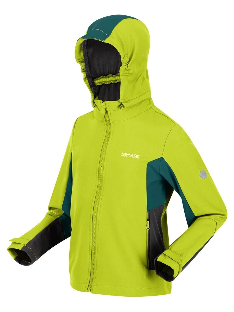 Regatta   Veste softshell ACIDITY   Vert