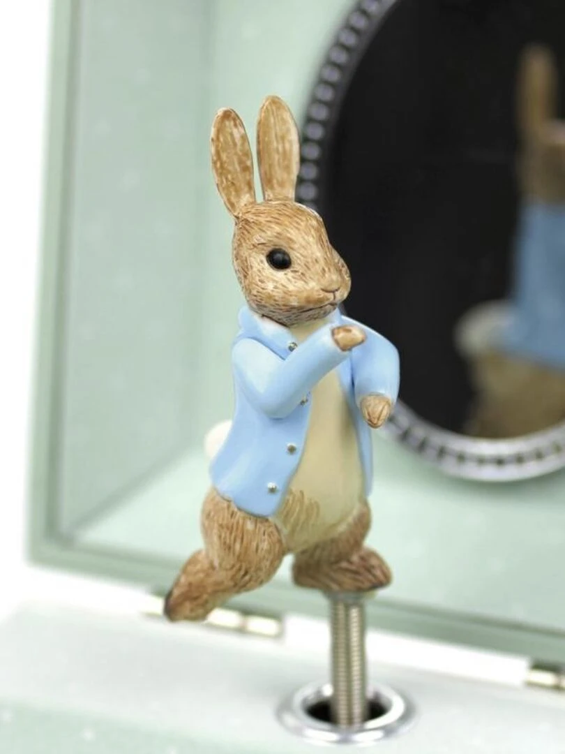 Boîte à bijoux musicale cube Pierre Lapin libellule   N/A