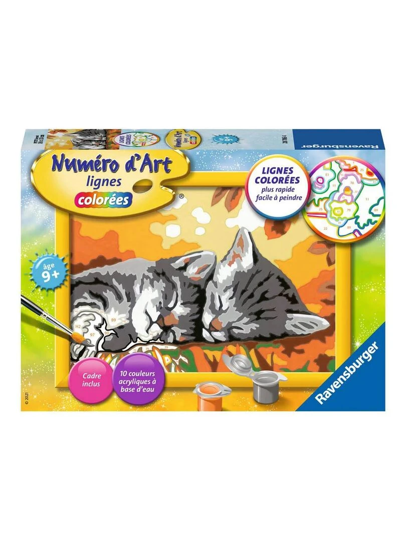 Peinture au numéro : Numéro d'Art Petit Format : Deux chatons couchés N/A