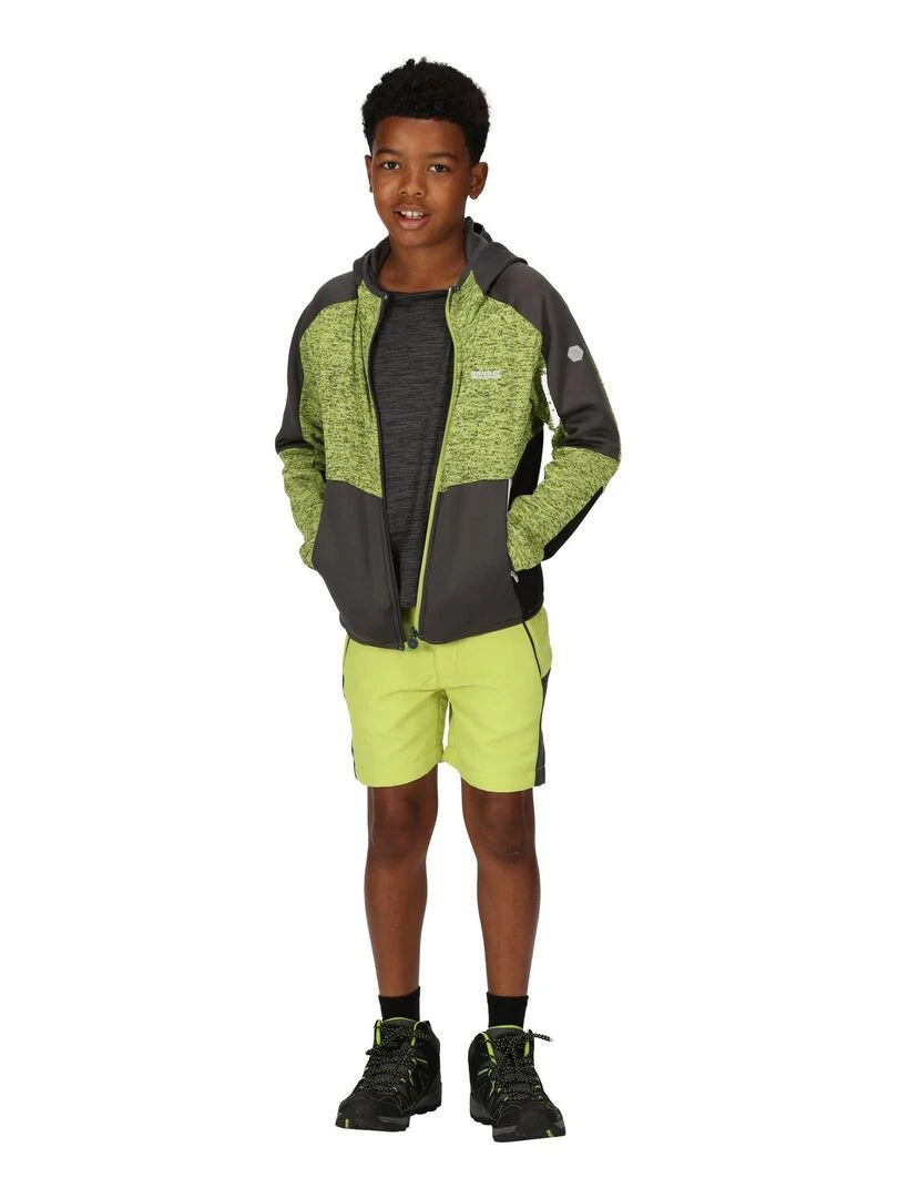 Regatta   Veste polaire DISSOLVER   Vert