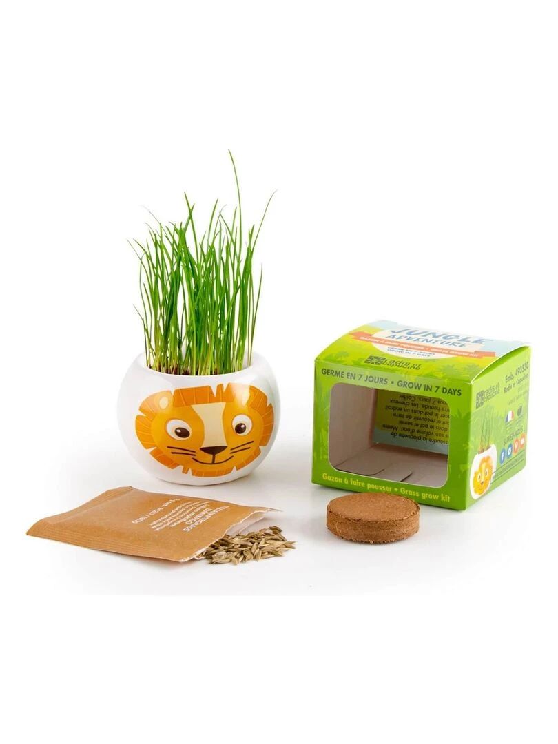 Kit jardinage : céramique Lion N/A