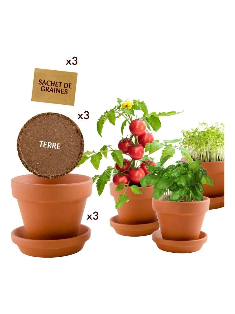 Kit de jardinage : Trio 3 pots plantes gourmandes bio   N/A