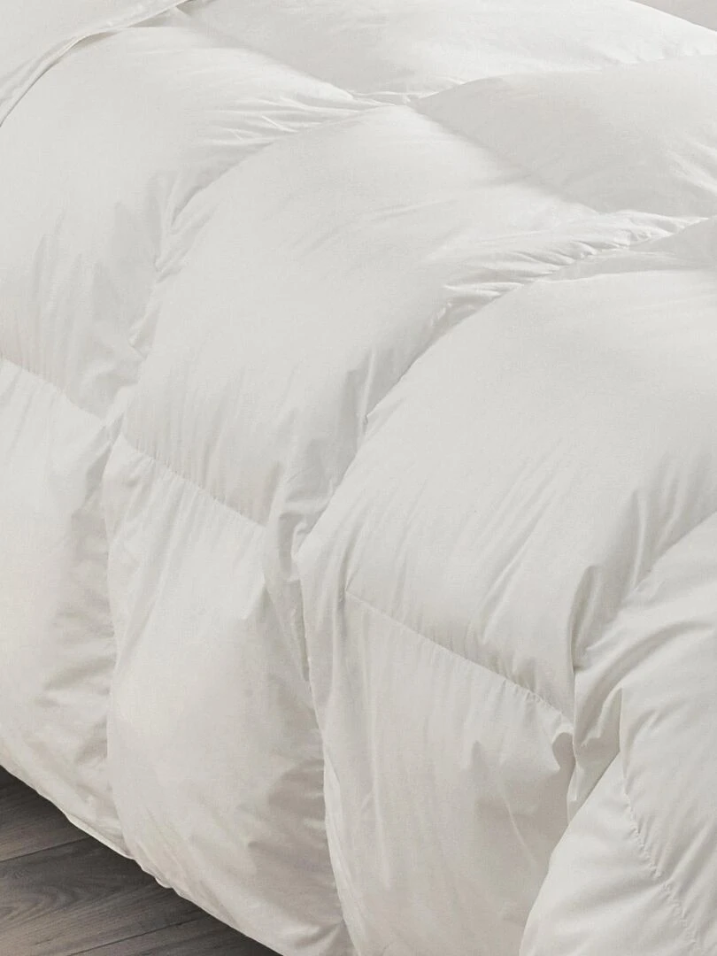 Couette chaude en plumettes et duvet Blanc