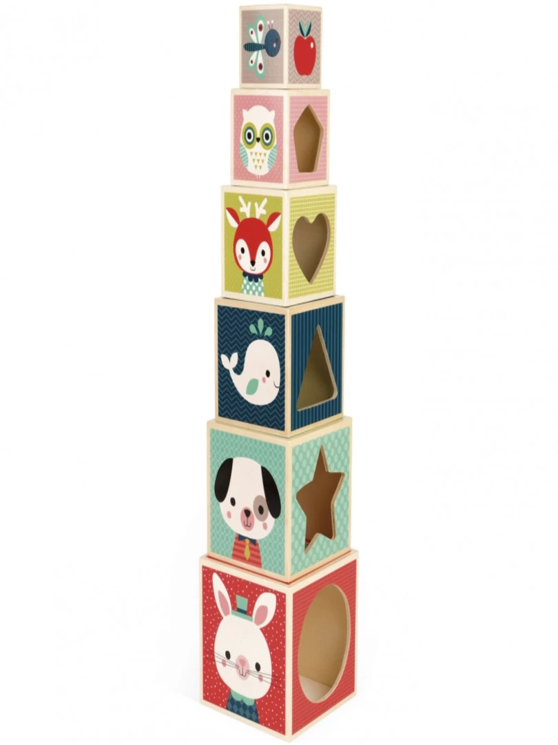 Cubes Empilables Baby Forest (6 Cubes) N/A