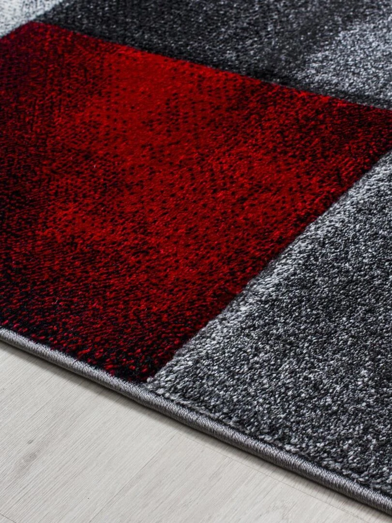 Tapis salon CARARELLI OEKO TEX®   Rouge