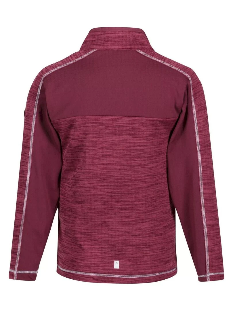 Regatta Haut polaire HEWLEY Violet