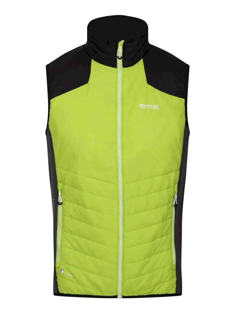 Regatta Veste sans manches HALTON Gris Vert
