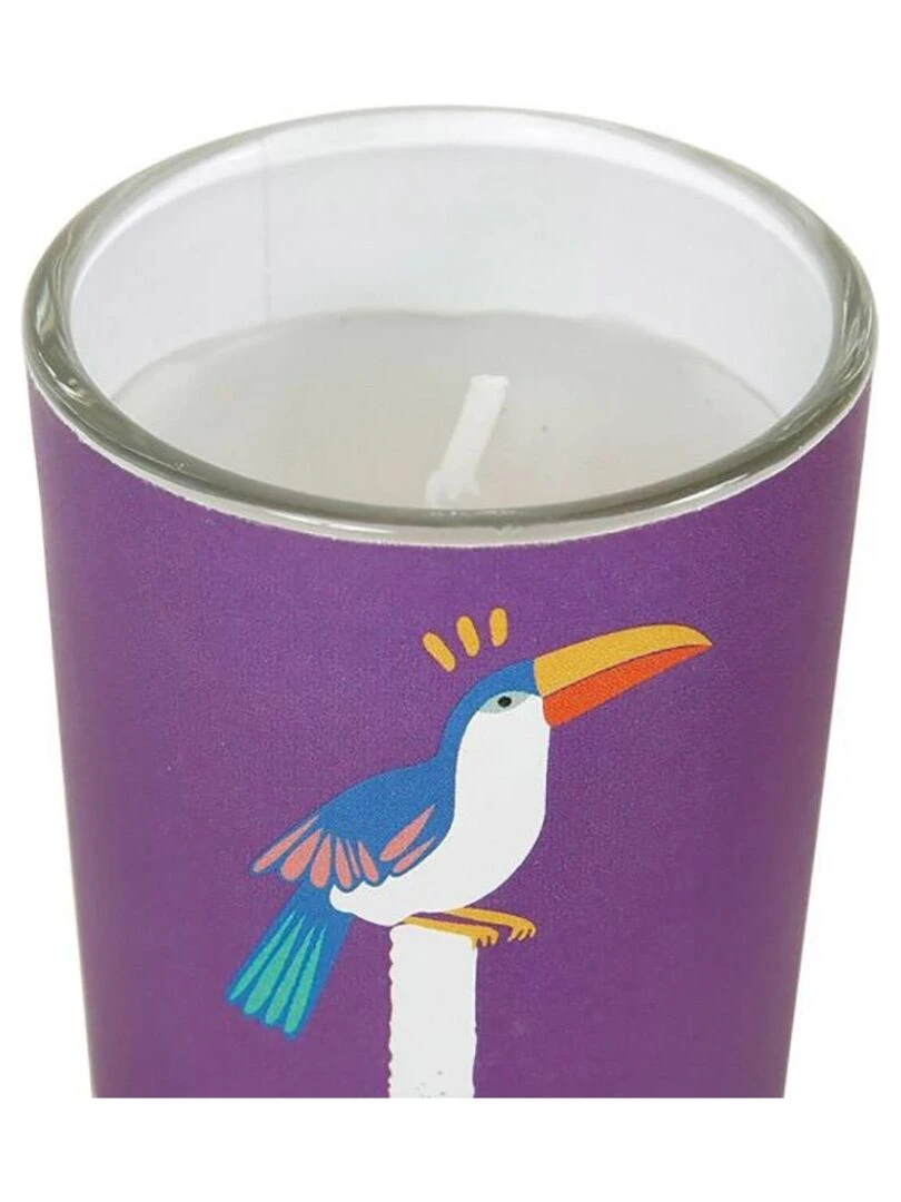 Bougies pot verre Jungle X4 Violet