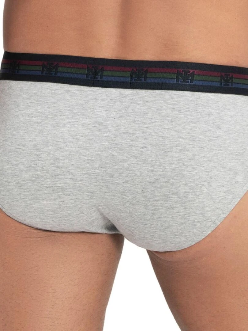 Lot de 2 slips en coton Haruto   Gris