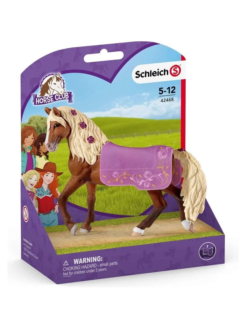 Étalon Paso Fino Spectacle équestre   N/A