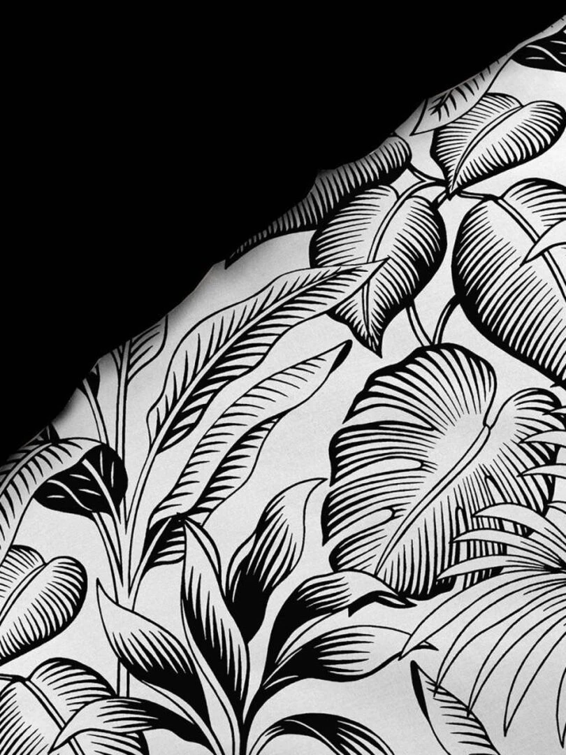 Housse de couette  + taie(s) Cabana coton percale 78 fils   Noir