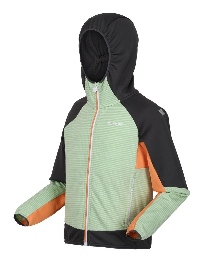 Regatta   Veste softshell PRENTON   Vert sapin