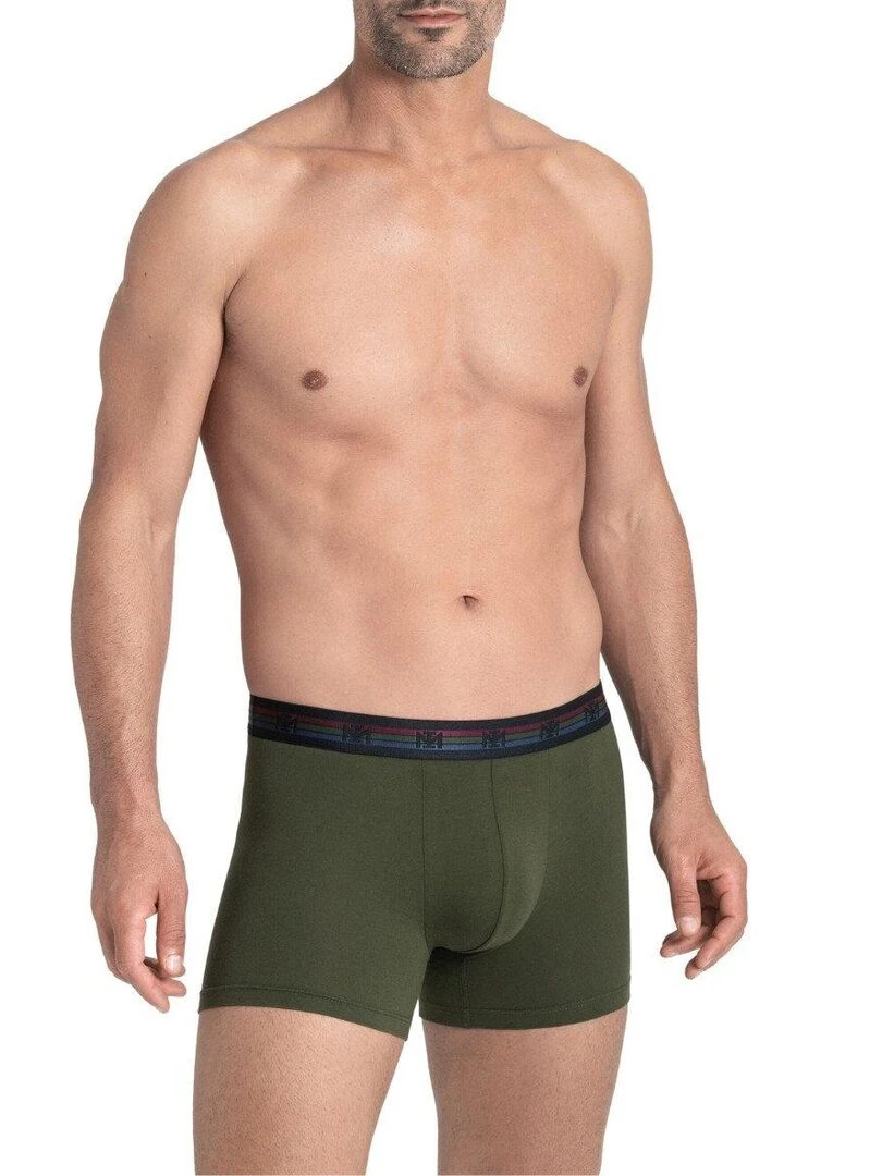Lot de 2 boxers en coton Haruto Vert