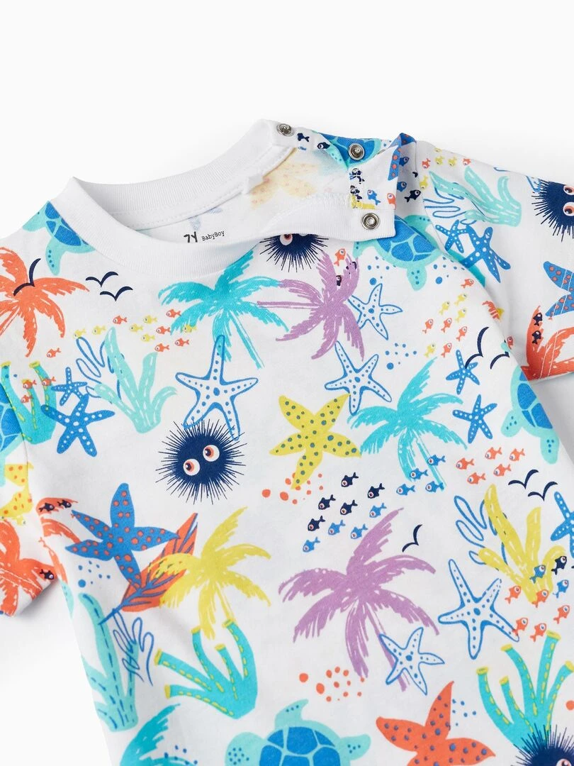T Shirt En Coton Avec Motif Pour Bébé Garçon 'Mer & Palmiers' manches courtes AUSTRALIAN SURFING   Blanc