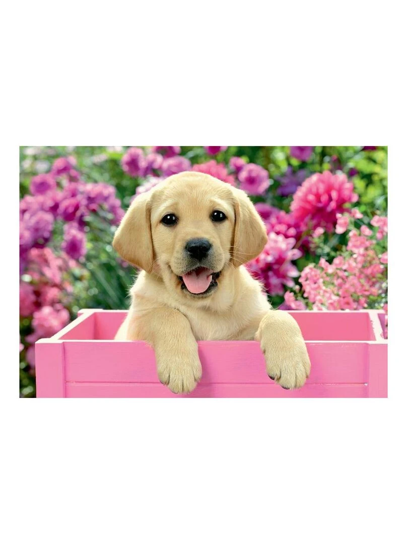 Puzzles 2x24 p amis tout doux N/A
