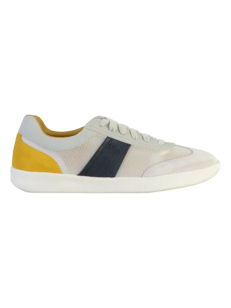 Basket Cuir Geox U Rieti Mesh Multicolore