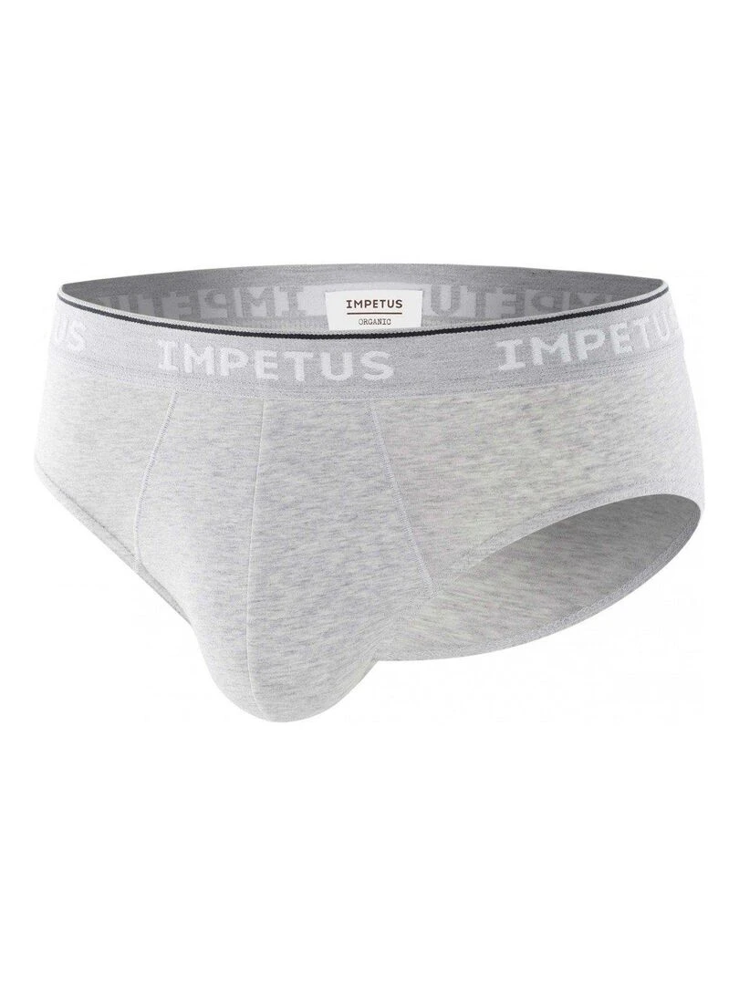 Slip bio organique Oeko Tex tout confort Cotton Organic   Gris