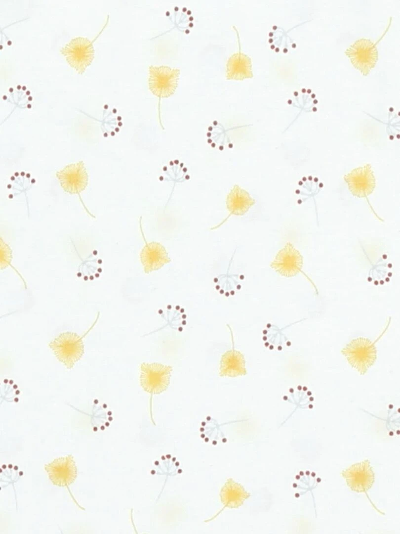 Pyjama 2 pièces en jersey à imprimés  écru/rose   Noukie's   Blanc