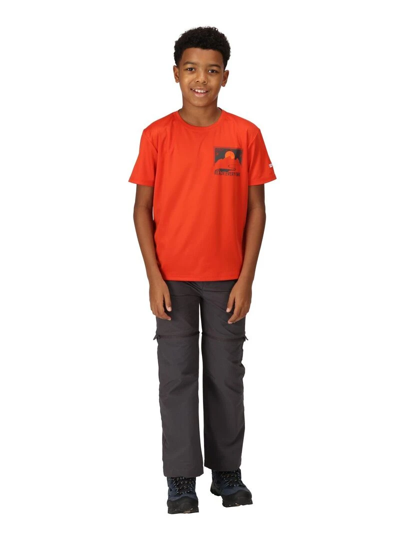 Regatta   T shirt ALVARADO   Rouge brique