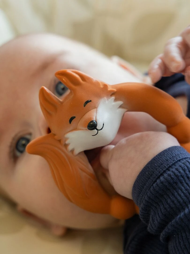 Anneau de dentition Renard   N/A