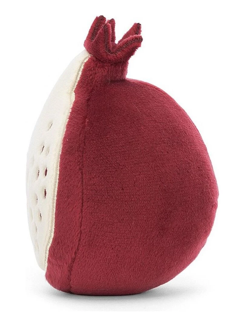 Fabulous Fruit Pomegranate   Rose