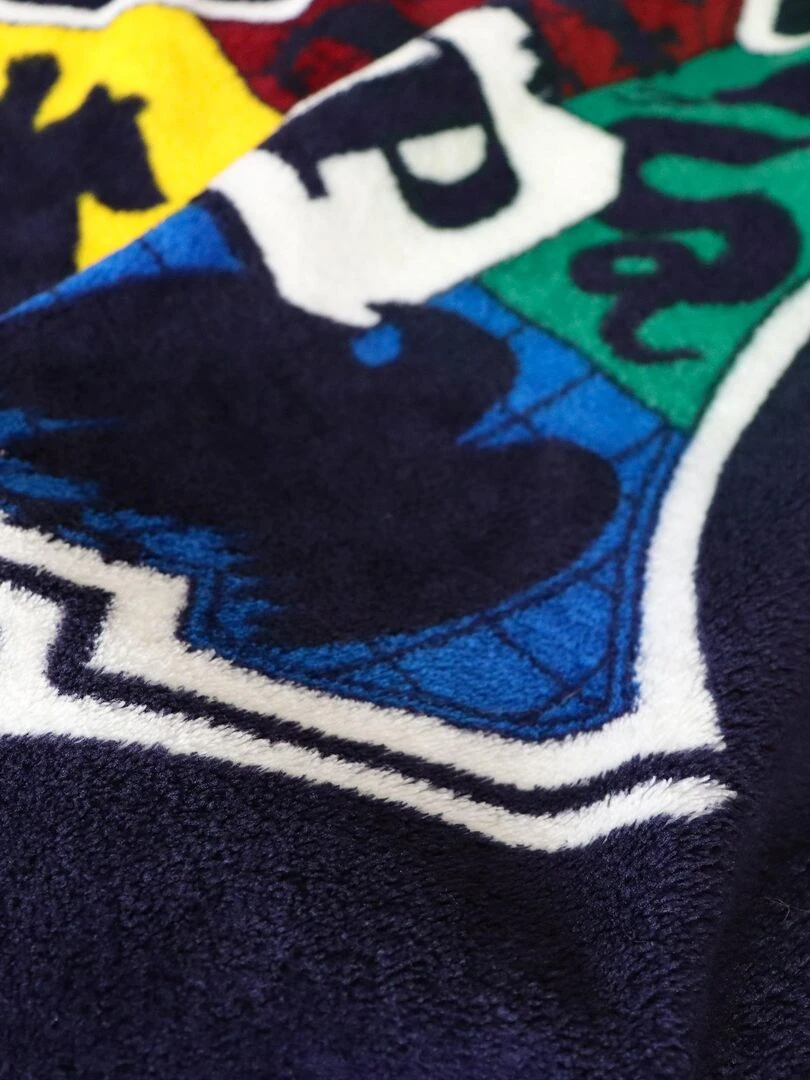 Plaid polaire imprimé  HARRY POTTER STRIPE   Bleu